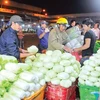Wholesale markets seek HCM City’s approval to raise fees