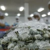 Frozen shrimp exports to RoK must undergo quarantine 