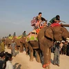 Elephant festival in northern Lao province 