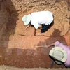 Champa artifact unearth in Quang Ngai province