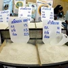 Thai rice auction draws bidders 