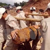 Peace Trees Vietnam hailed for healing war wounds 