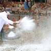 Bird flu outbreaks in neighbouring nations prompt action