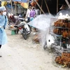 Dong Nai active in avian flu prevention 