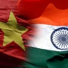 Vietnam, India hold defence policy dialogue 