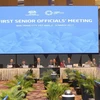 APEC SOM1 continues agenda, discussing cooperation plans