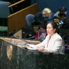 ECOSOC: Vietnam calls for continued resources for development