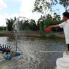 White-leg shrimp farming’s profits lower than tiger prawn