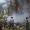 Ca Mau province prepared for forest fires