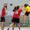Vietnam to participate in handball championship