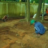 Excavation affirms scientific value of Tra Vinh’s ancient pagoda 
