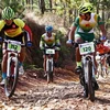 Int’l cycling tournament opens in Lam Dong