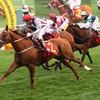 New 70-ha racecourse opens in Lam Dong