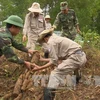 US-based PeaceTrees delegation visits Vietnam 