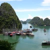 Quang Ninh sets new sightseeing fees in Ha Long Bay