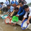 Young shrimps, fish released for aquatic resources