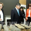 Vietnamese archaeological artefacts displayed in Germany