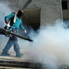 New Zika cluster detected in Singapore 