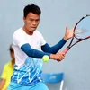 Vietnam lose two Davis Cup matches