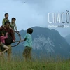 Vietnam cinematography lacks interesting works