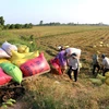 Land accumulation must benefit farmers: Deputy PM