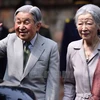 Japanese Emperor, Empress host tea party following Vietnam visit 