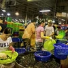 HCM City boosts international cooperation in expanding Binh Dien market