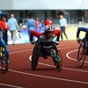 Vietnam, Japan develop sports for disabled people