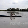 Mekong Delta farmers begin shrimp harvest