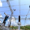 48-mln-USD projects set to ensure power supply for APEC