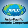 Software designers to compete in APEC app challenge in Hanoi 