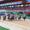 Dai Nam racecourse inaugurated in Binh Duong province 