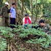 221 million USD Ngoc Linh ginseng project launched