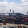 Container control unit launched in Ba Ria-Vung Tau