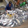 Vietnam, Norway confer on aquaculture