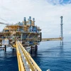 Thai oil firm suspends investment in Indonesia 
