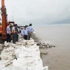 Bac Lieu: 340 billion VND needed to repair sea dyke erosion