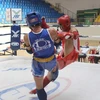 Vietnam’s Muaythai fighters win two gold medals at world champs