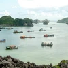 Work starts for big tourism complex in Cat Ba Islands 