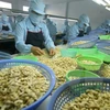 Binh Phuoc eyes more cashew products reaching global markets