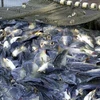 Government issues tra fish regulations 
