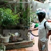 Hanoi reports first death from dengue fever