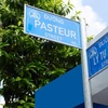 HCM City to use English on street signs