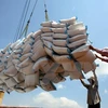 Vietnam, Bangladesh extend rice trade deal