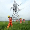 Power sector seeks way to go green over power shortage