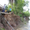 Mekong Delta struggles with erosion