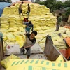 Vietnam’s fertiliser imports surge in five months