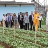 Dutch Queen visits farmers, businesses in Lam Dong