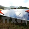 Investors show interest in solar power projects in Khanh Hoa