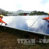 Vietnam looks towards renewable energy development
